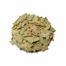 Eucalyptus globulus - Eucalyptus